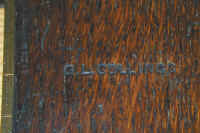 finch_square1.jpg (53702 bytes)